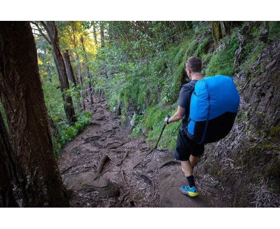 SOLOS - Ozone - SWISS-PARA.shop