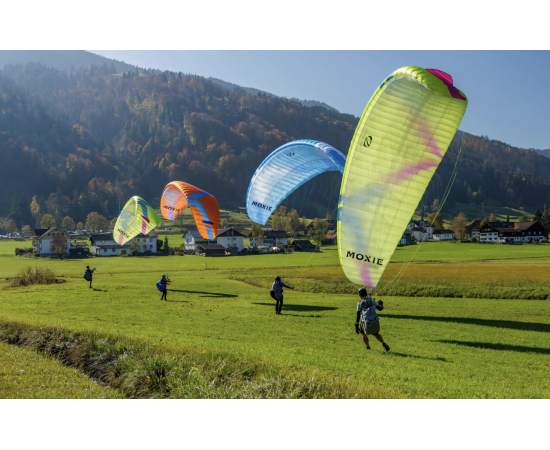 Aile Débutant MOXIE - OZONE Paragliders   - SWISS-PARA.shop