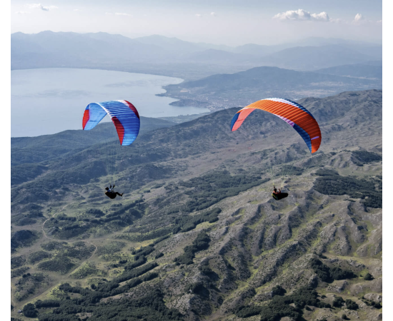 Epsilon DLS - Advance