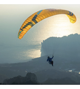 New Alta Ozone paragliders