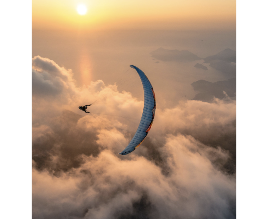 Morpheus NG - U TURN (15 vols Wing)