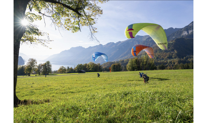 Quelles Voiles pour Débuter en Parapente ?